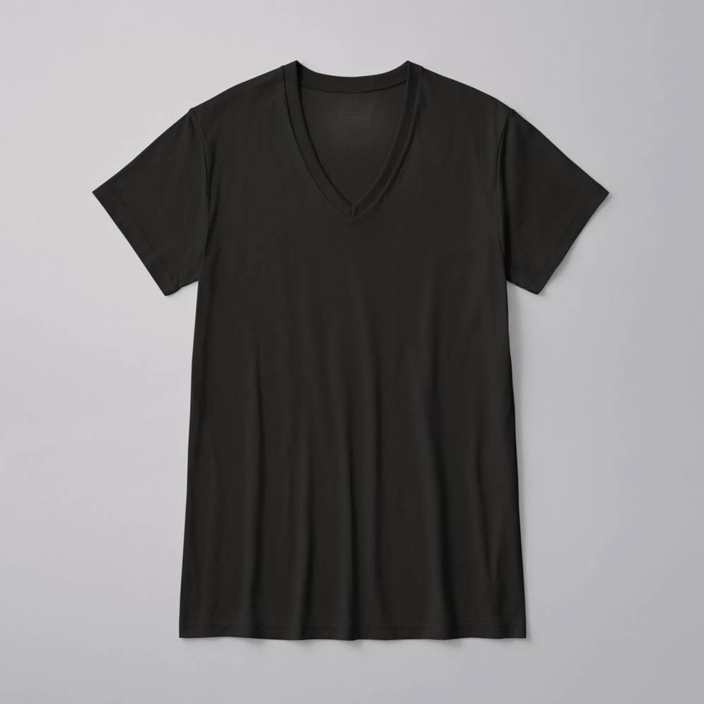 綿100%】VネックTシャツ CK8315 :メンズ トップス