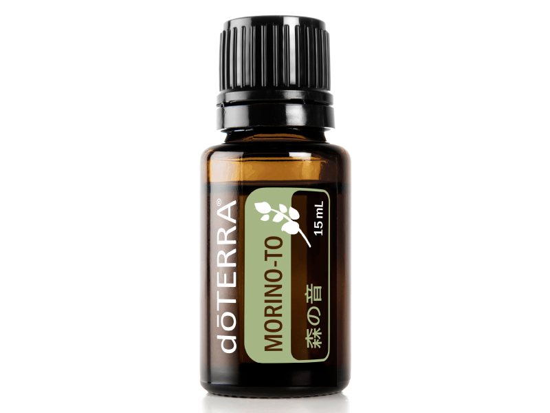 クロモジ - doTERRA TIMES