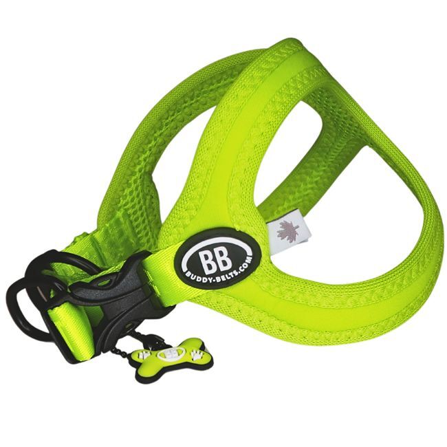 バディーベルト BBスポーツハーネス 3.5号 小型犬 ペット BUDDYBELT