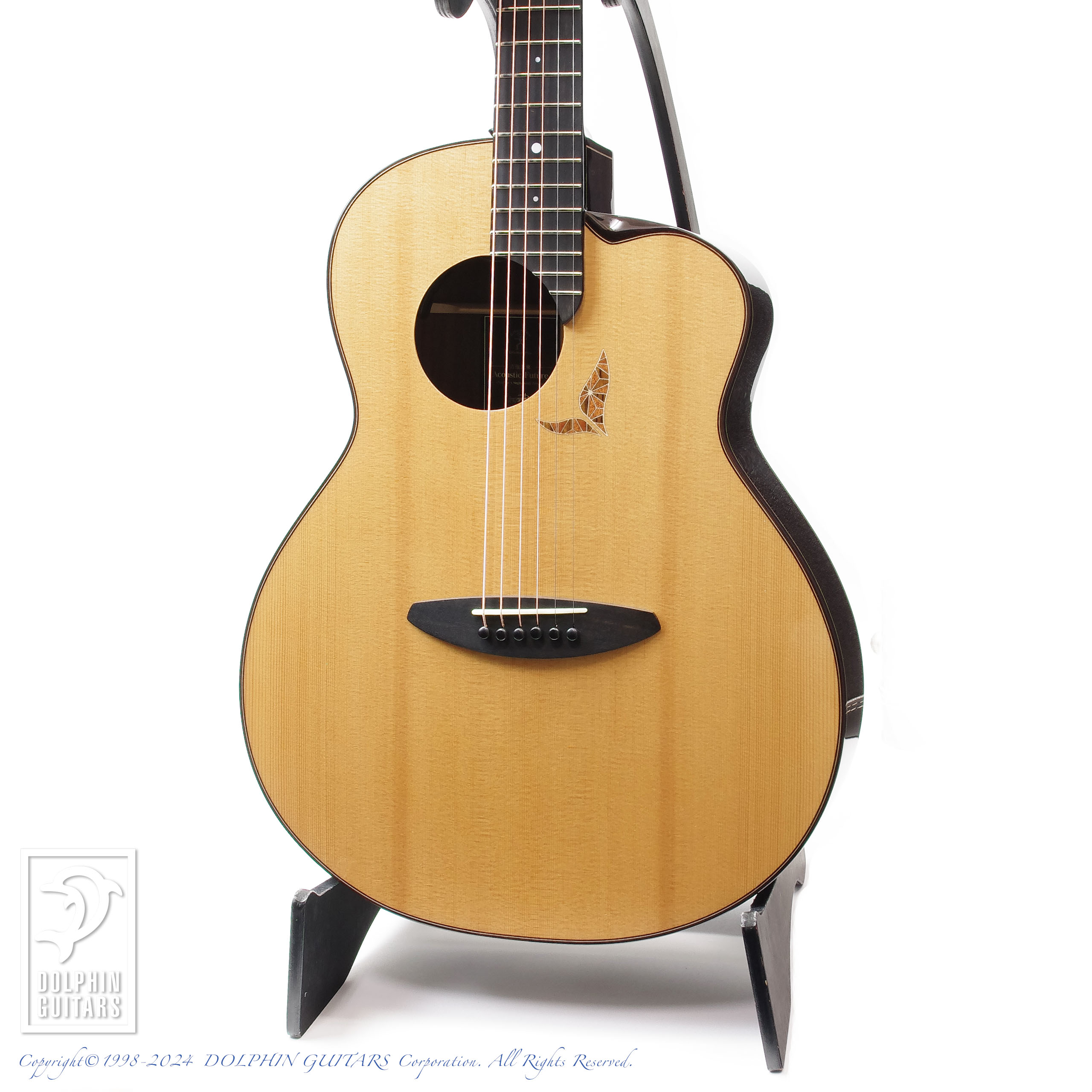 aNueNue LS770 Designed by Sugita Kenji|ドルフィンギターズ