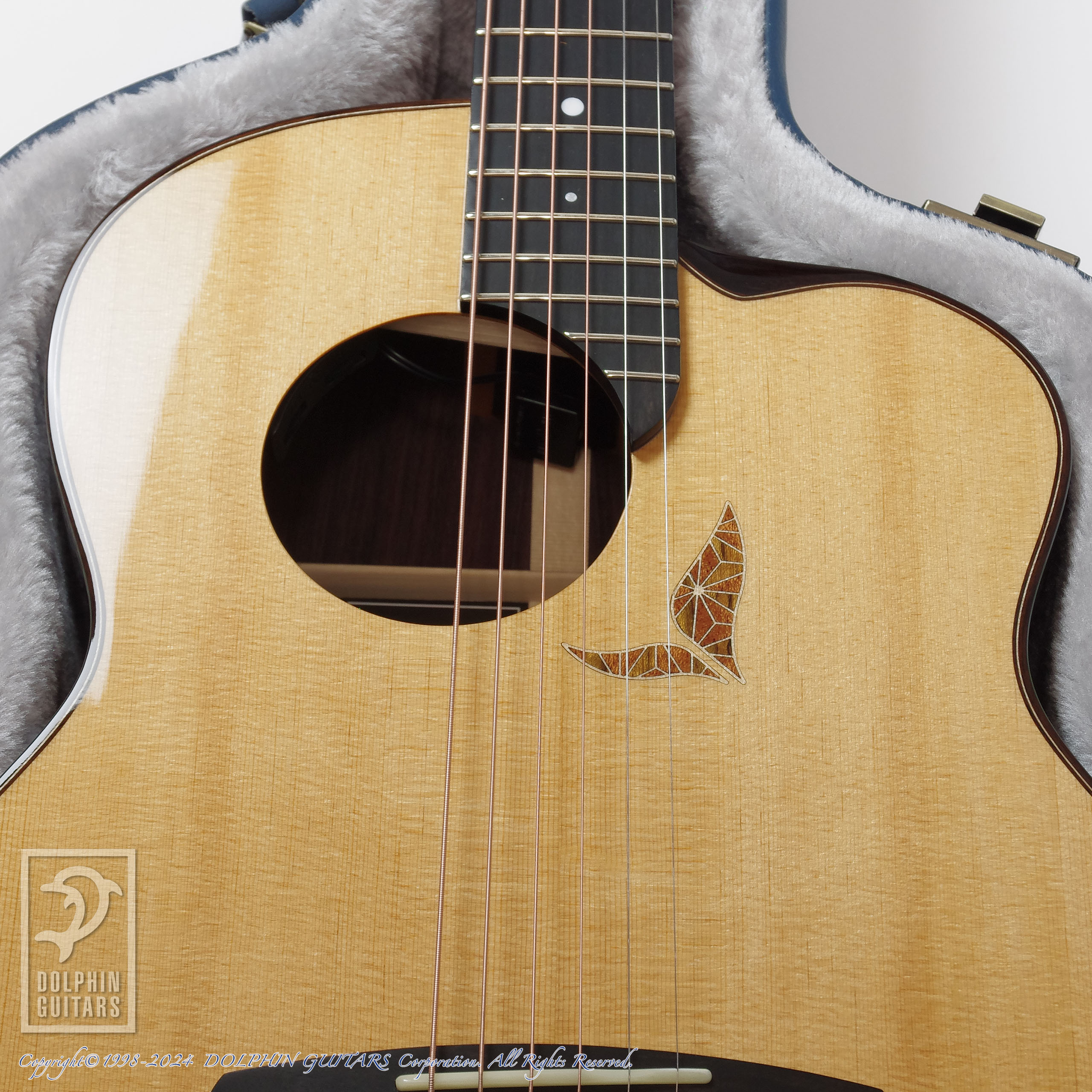 aNueNue LS770 Designed by Sugita Kenji|ドルフィンギターズ