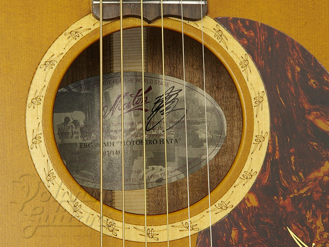 MATON EBG808MH (秦 基博シグネチャー)|ドルフィンギターズ