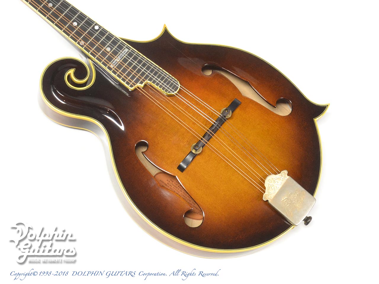 BLUE BELL F-10|ドルフィンギターズ