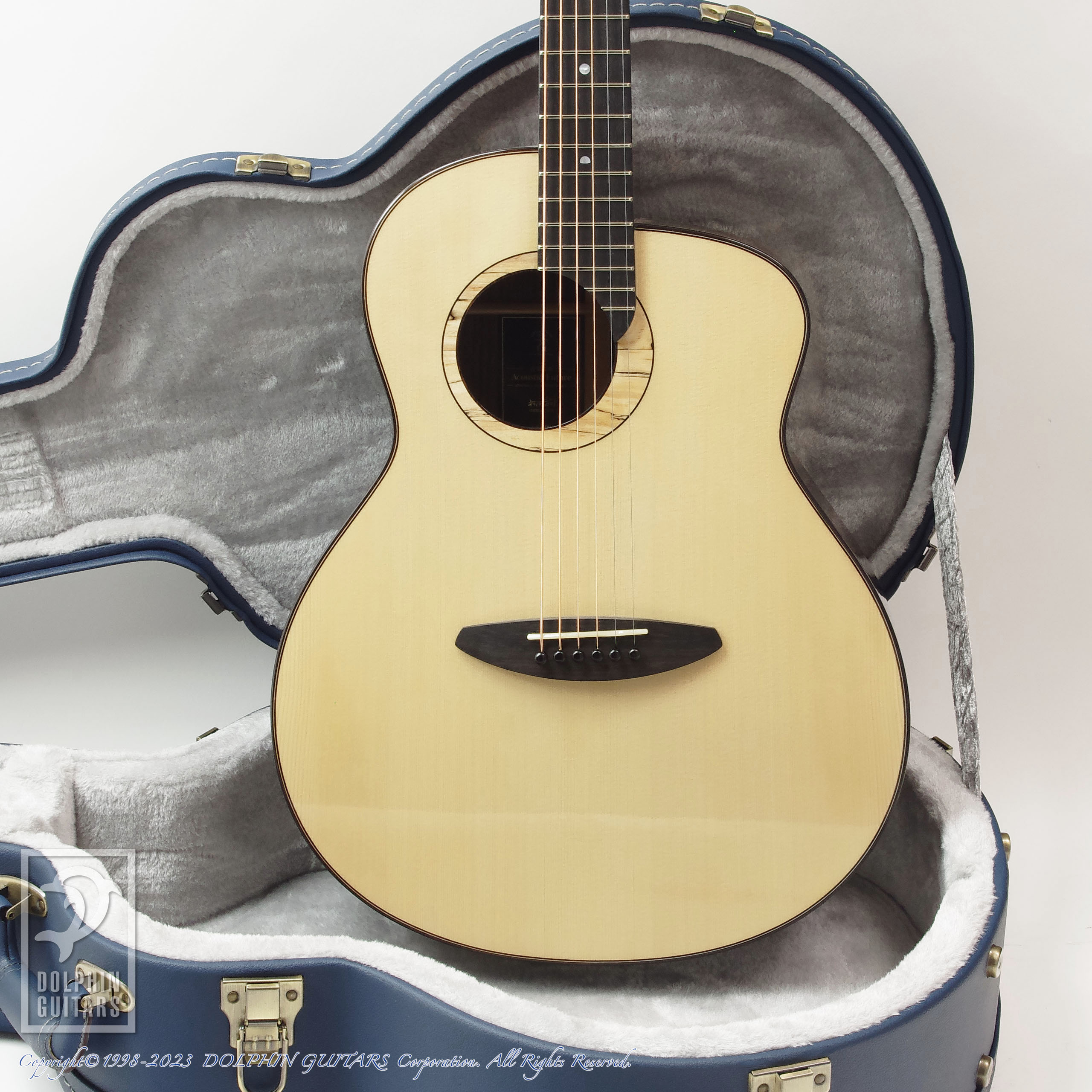 aNueNue LS600 Designed by Sugita Kenji|ドルフィンギターズ