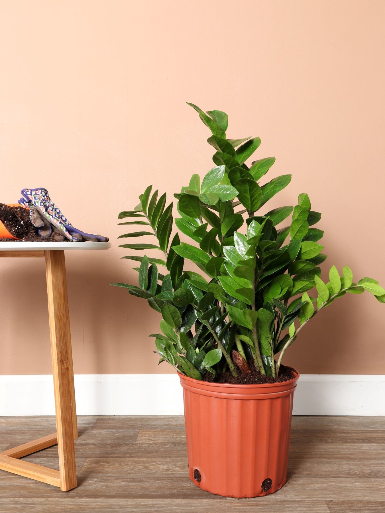 000006-01_1800x1800.jpg?v=