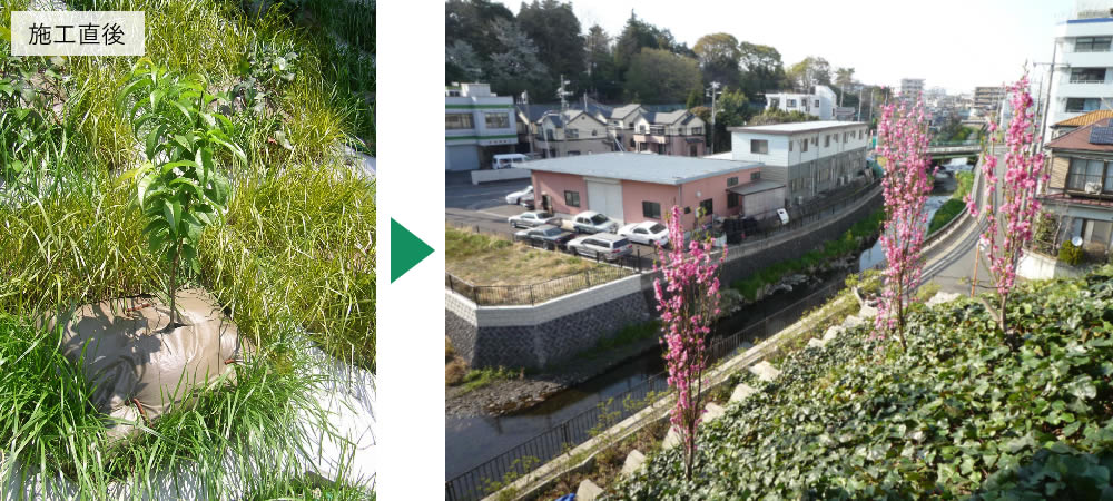 EG植栽パック | 壁面緑化・駐車場緑化等のメーカー「ダイトウテクノ