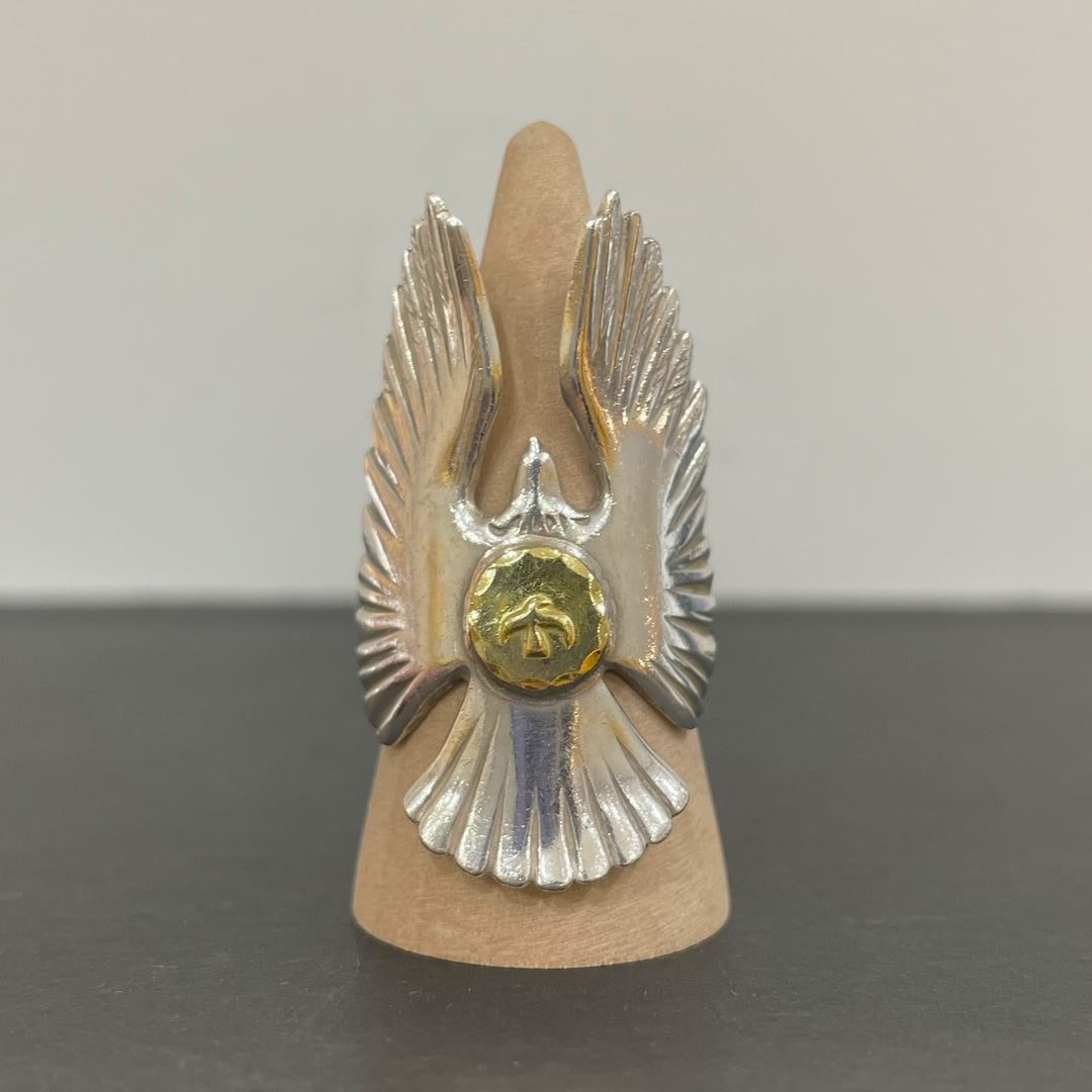 IMG_2145_1080x.jpg?v=1730181652