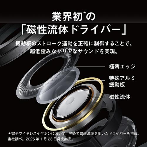 デンキチWeb / テクニクス Technics 完全ワイヤレスイヤホン ブラック