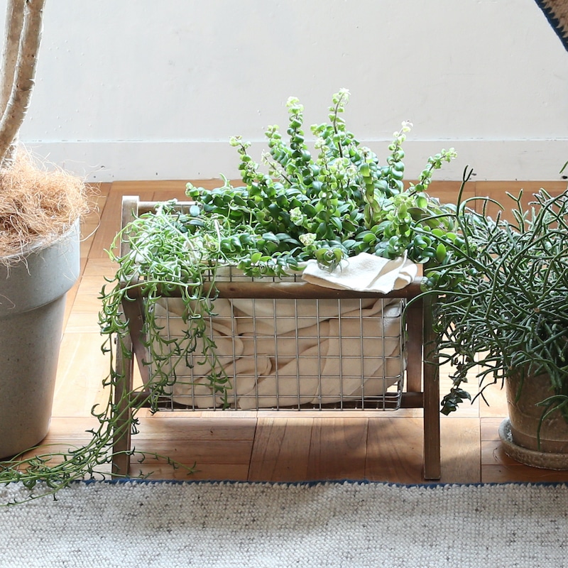 トールペイント（花と鳥）ラタン製マガジンラック アンティーク調