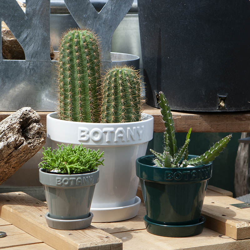 DULTON ONLINE SHOP | BOTANY POT 3 WHITE(3号 WHITE): ガーデン