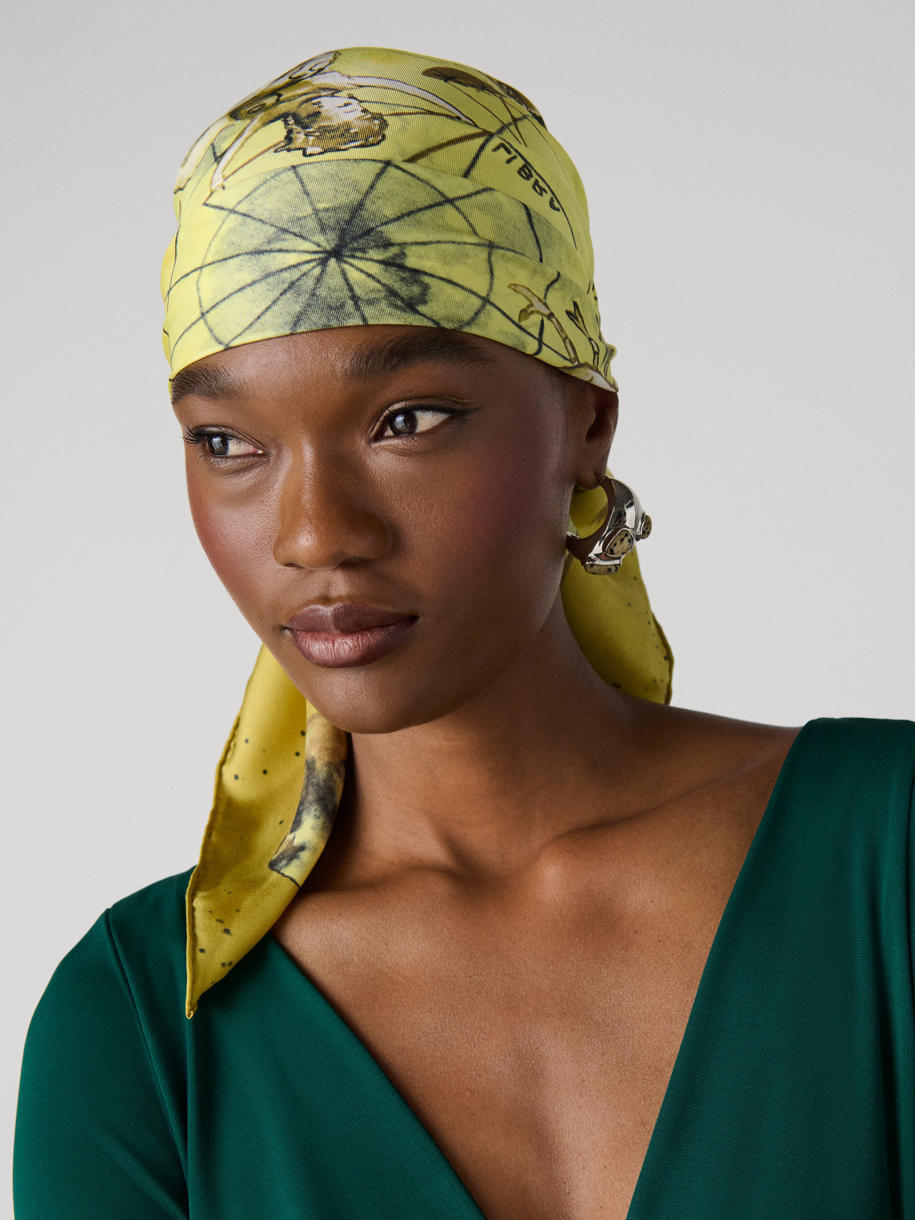 Zodiac Flag Silk Scarf – Diane von Furstenberg