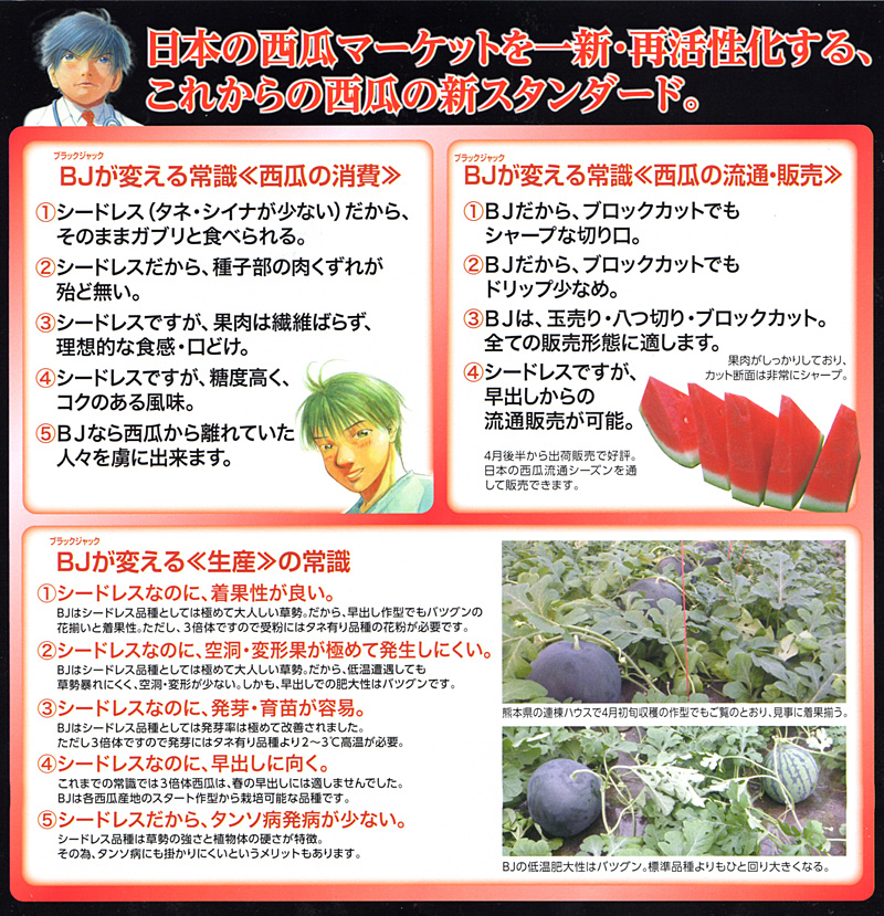 3Xブラックジャック[西瓜] - e-種や｜国内最大級の野菜種・花種・苗