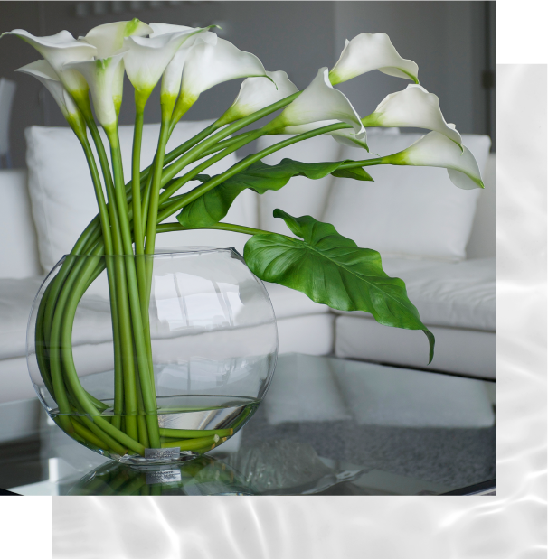 まるで本物のお水【イリュージョンフラワー】で魅せるアーティ