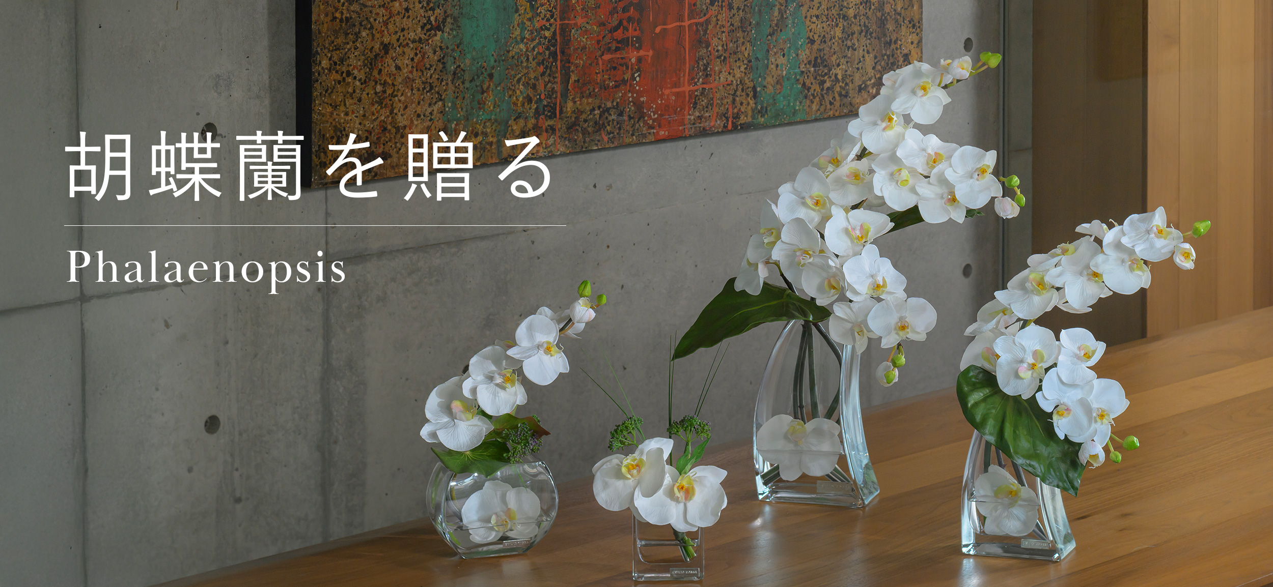 お祝いに贈るお洒落な胡蝶蘭特集(アーティフィシャルフラワー