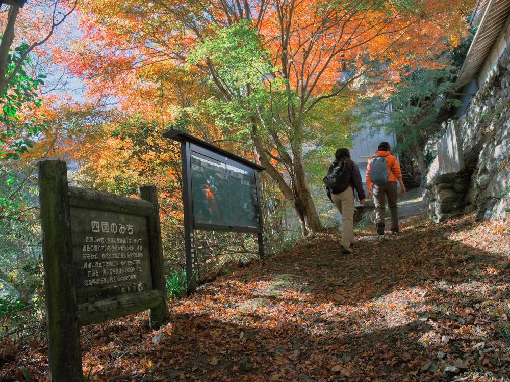 HIKE! TOKUSHIMA～中津峰山に登る～ | 特集 | イーストとくしま観光