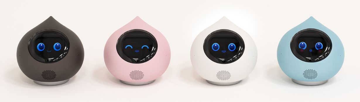 ミクシィ ROMI-L01W 会話AIロボット Romi Lacatanモデル ナチュラル