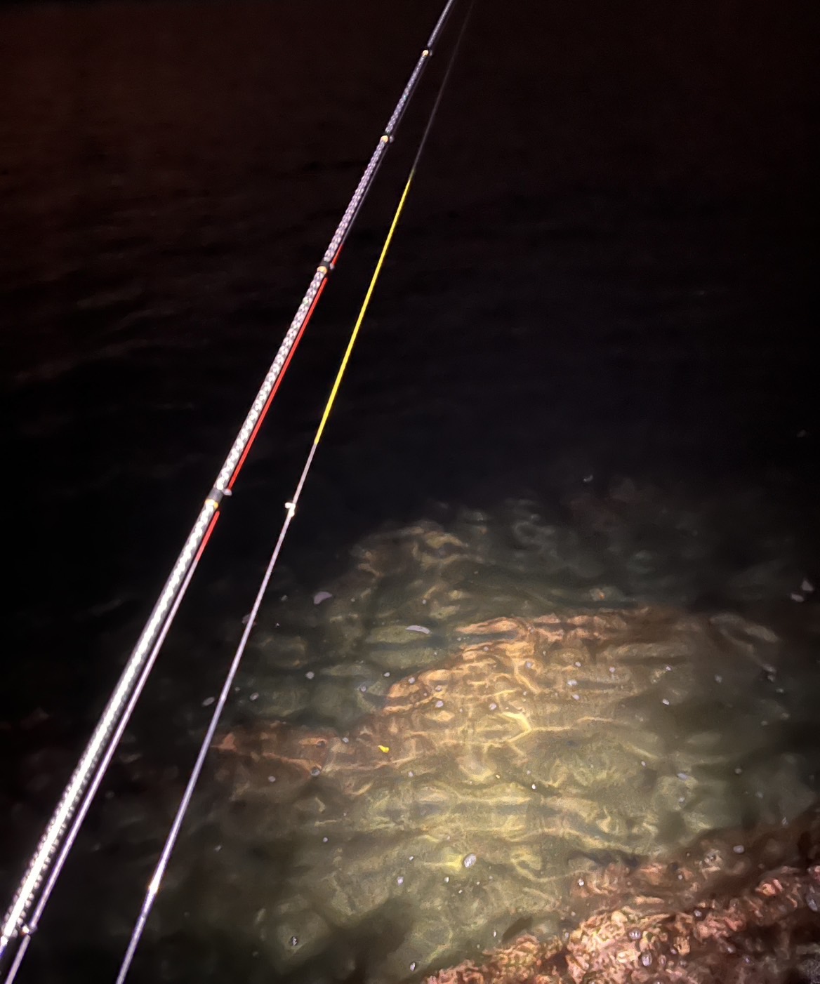 X8-PE 0.6-200m 【Vertical Eyes】SS×R×Y - EGI MANIACS