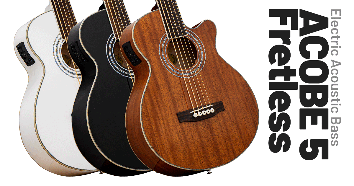 ACOBE 5 Fretless [エレクトリック・アコースティックベース] - ELK