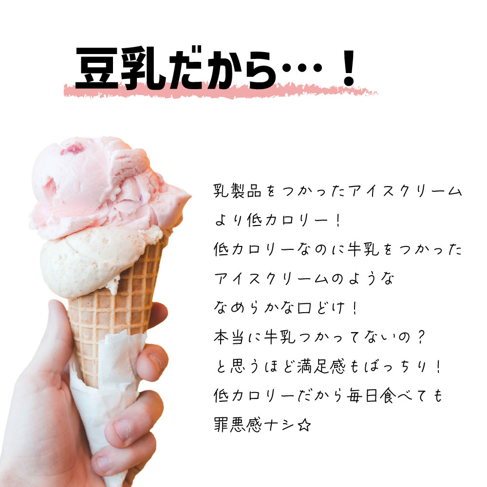 SOY GeLA! 豆乳アイス / スイートチョコレート / 100ml / 有機JAS