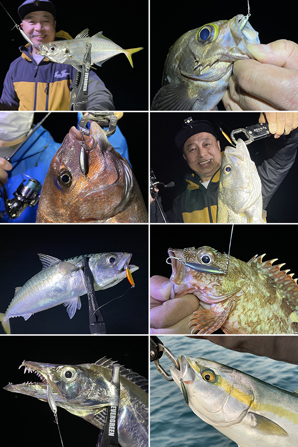 EVERGREEN（エバーグリーン インターナショナル） - チャムジグ