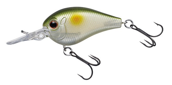 EVERGREEN（エバーグリーン インターナショナル） – ピッコロ新色 11月