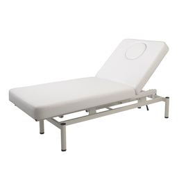 電動昇降リクライニングベッドEX（オメガ式・フェイスマット付）【完全