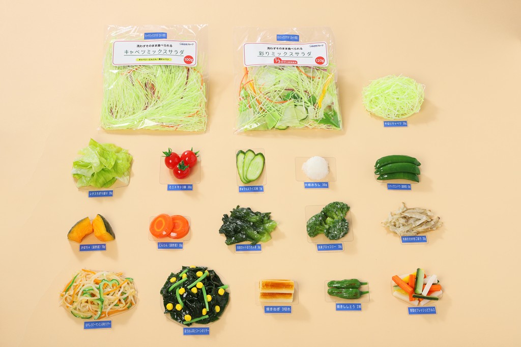 新発売】 SAT-V9 ちょい足し野菜セット | フードモデルドットコム