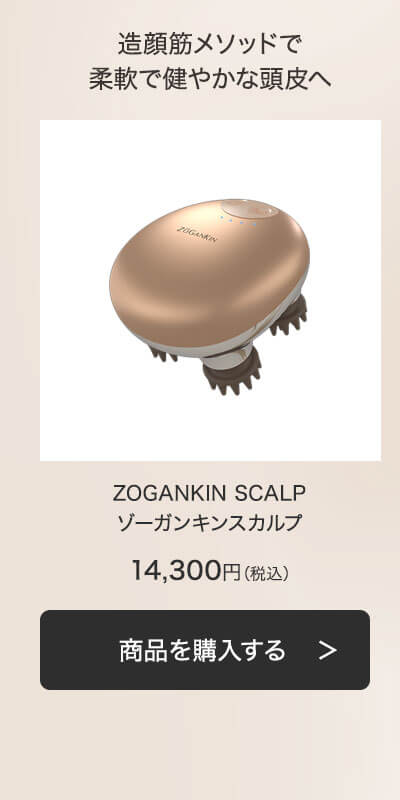 正規品】ゾーガンキン スカルプ EMS ヘッドスパ ZOGANKIN