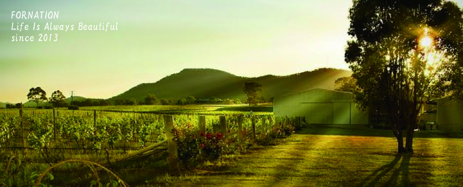 FORNATION | フォーネイション