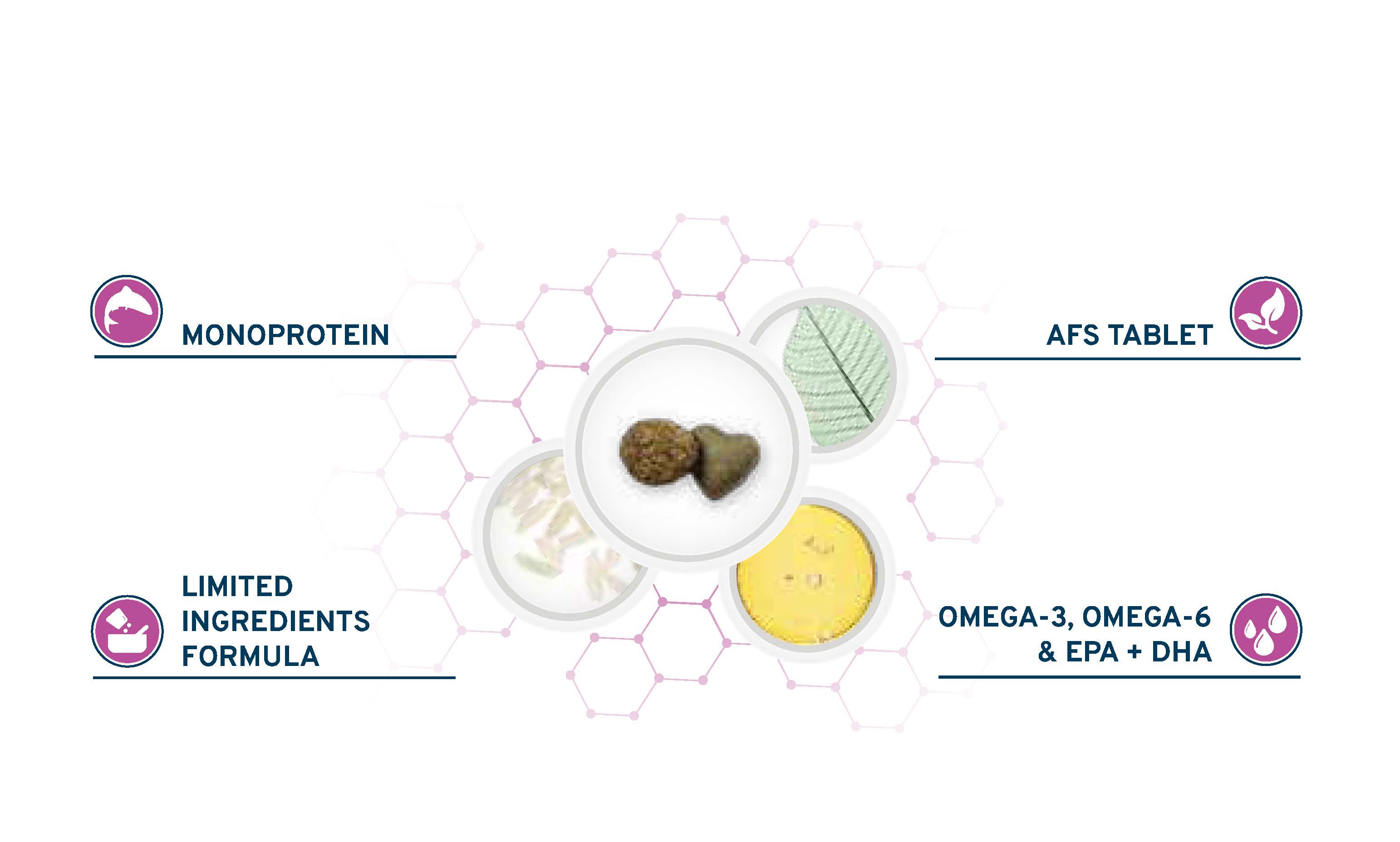 ハイポアレルジェニックアクティブ キャットフード｜皮膚・被毛の健康