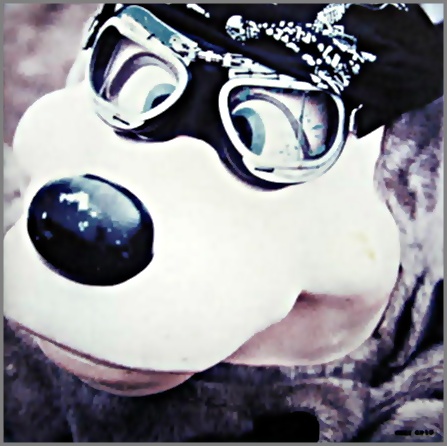 ブランキー・ジェット・シティ - C.B.Jim TOCT-6910/中古CD・レコード