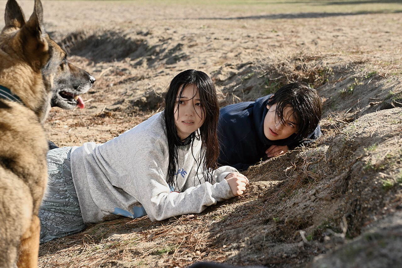 少年と犬』高橋文哉＆西野七瀬で直木賞受賞作を映画化、震災で“飼い主