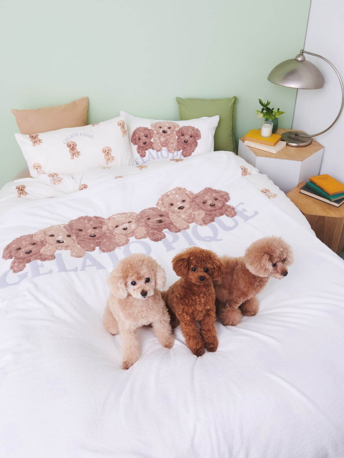 ジェラート ピケ「トイプードル」ルームウェア、お座りニットパジャマ