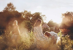 ジョー マローン ロンドンの限定フレグランス「ワイルド フラワー