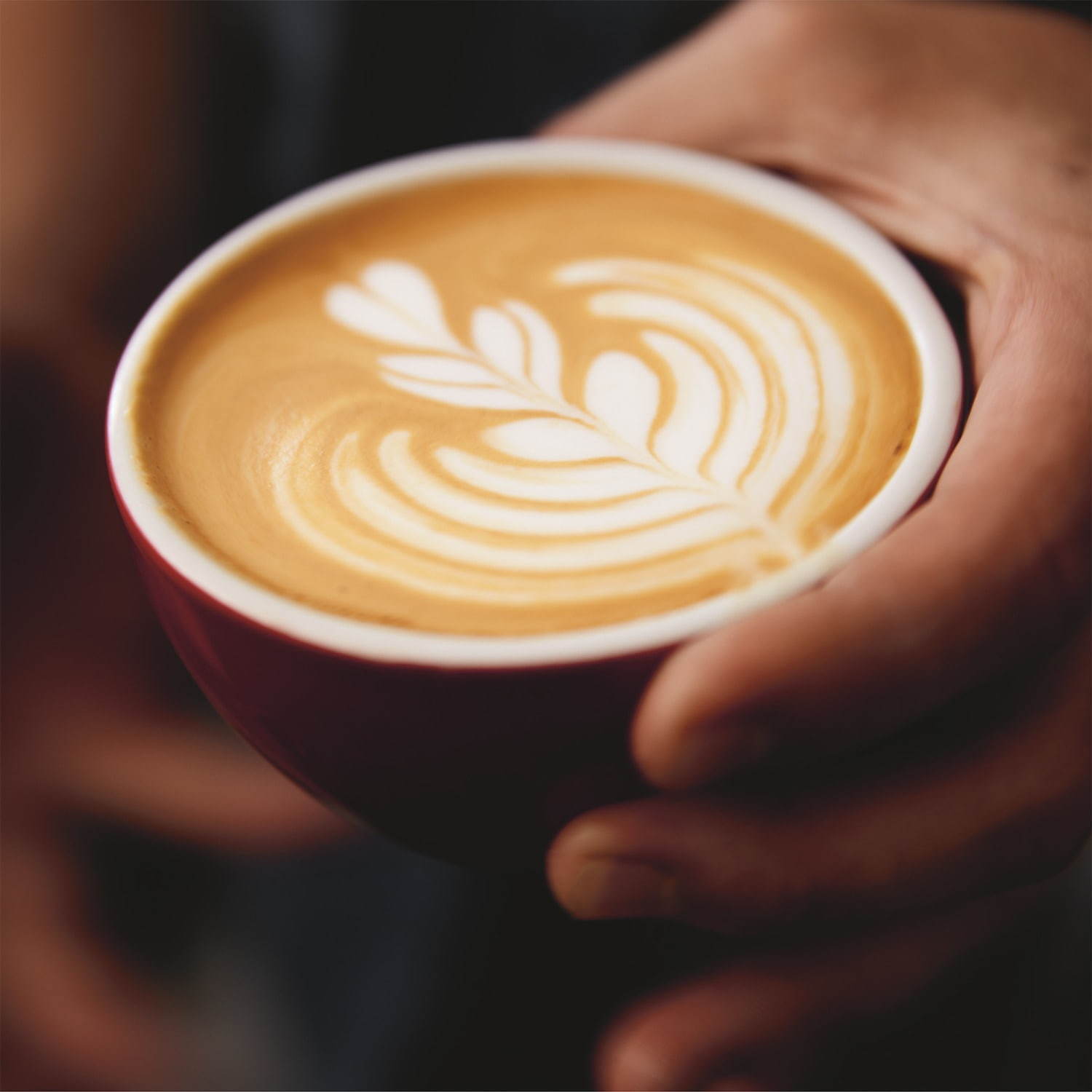 メゾン マルジェラ フレグランス“ミルクと珈琲”の香り「コーヒー