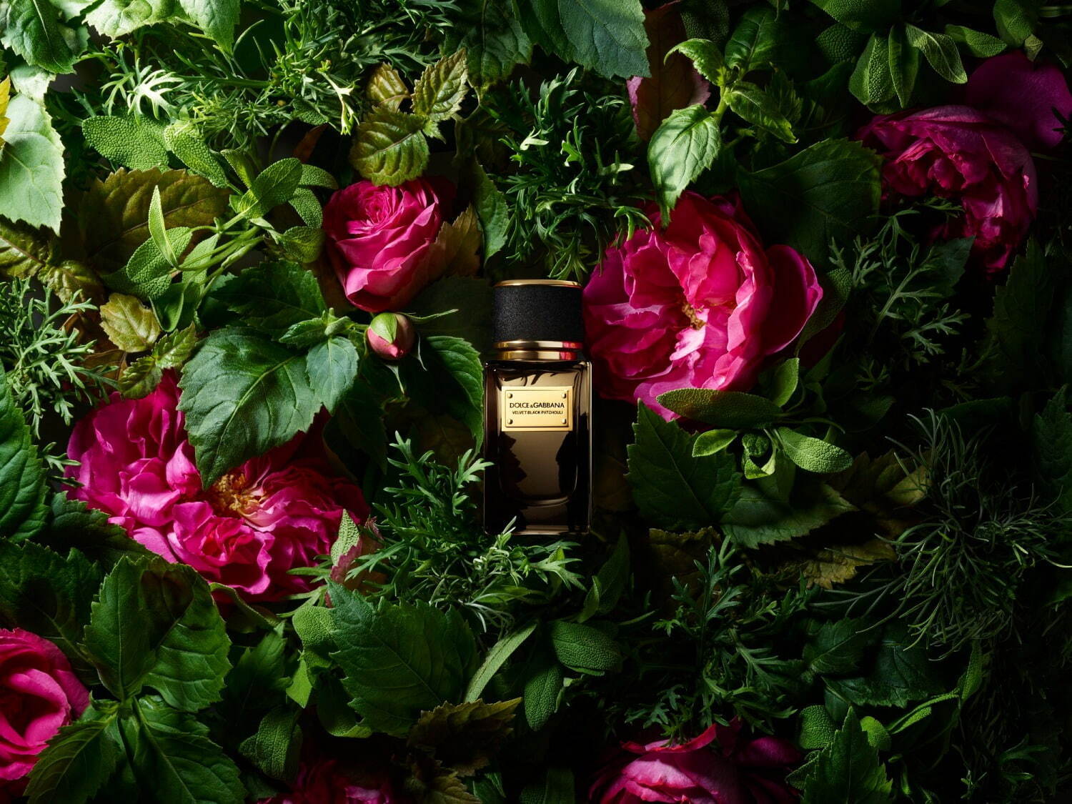 ドルチェ＆ガッバーナ ビューティ“最高峰”フレグランス新作、濃厚