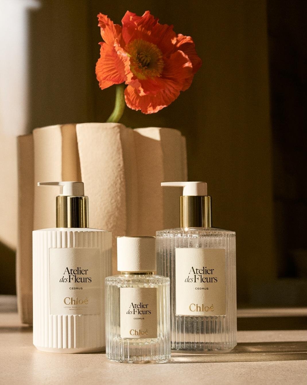 クロエ「アトリエ デ フルール」ボディケア誕生、マグノリアやシダーの