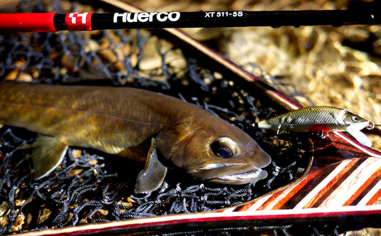 フエルコ XT511-5S / Huerco XT511-5S_Fish Hook