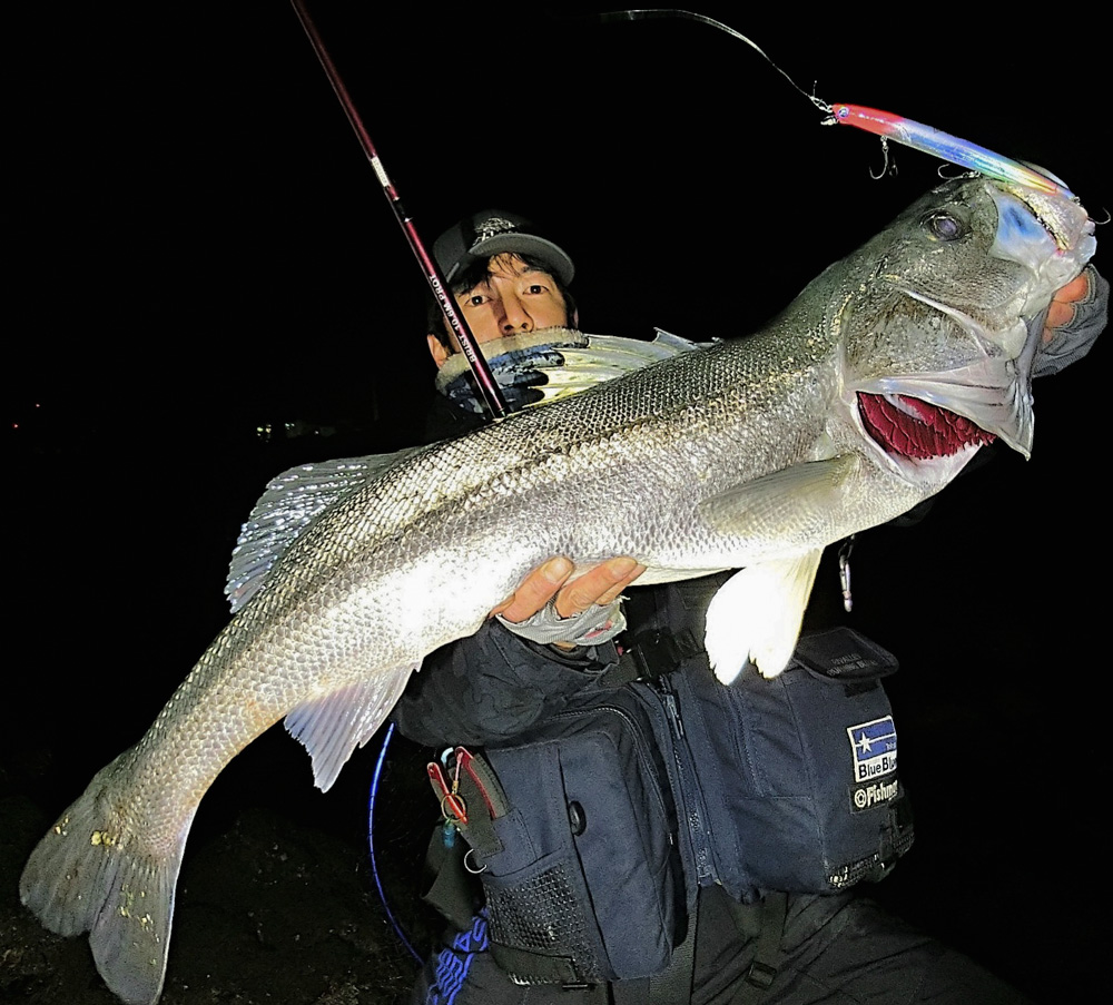 BRIST MARINO10.6MH アーカイブ - 2ページ目 (2ページ中) - Fishman