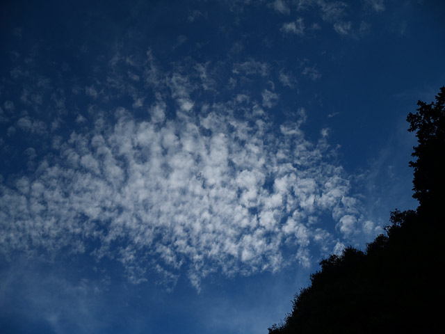 Olympus E-300のコダックブルー | Photo | FlatPedal