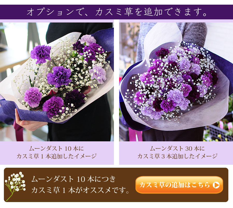 本数指定 青いカーネーション ムーンダストの花束 ムーンダスト 世界で