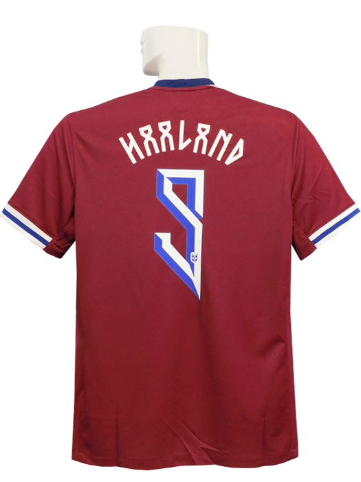 ナイキ) NIKE/24/25ノルウェー代表/ホーム/半袖/ハーランド/FZ0162-677