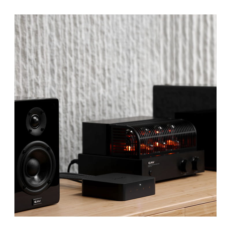 WiiM WiiM Pro w/ RC 買取価格｜フジヤエービック