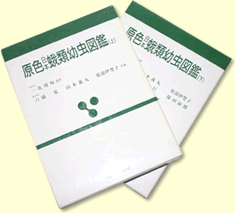 原色日本蛾類幼虫図鑑 全2巻（一色周知 監修 ／ 六浦晃 山本義丸 服部