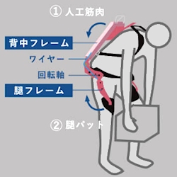 マッスルスーツ Evrey（エブリィ）ソフトフィットタイプ M-Lサイズ