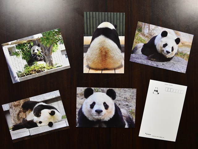 遊園地のりものご利用で「タンタン ポストカード」プレゼント｜神戸