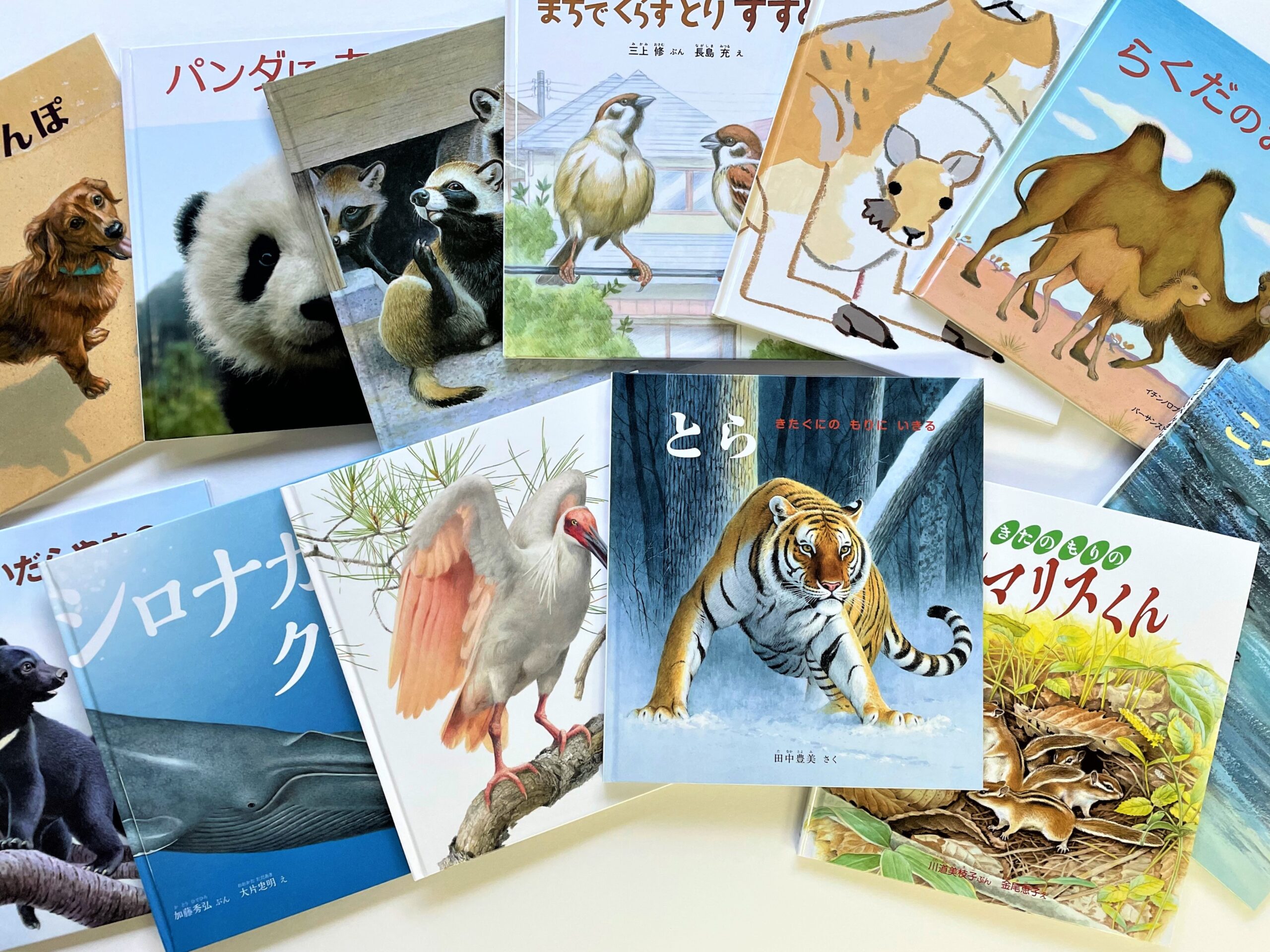 動物えほんライブラリー(2025) | こどものとも ひろば