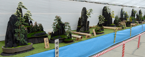 日本菊花全国大会 公式サイト | 日本菊花全国大会のみどころ