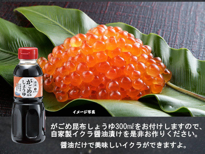 2025年販売終了 鮭 2.5〜3.2k北海道噴火湾産天然秋サケ＜冷蔵便＞送料