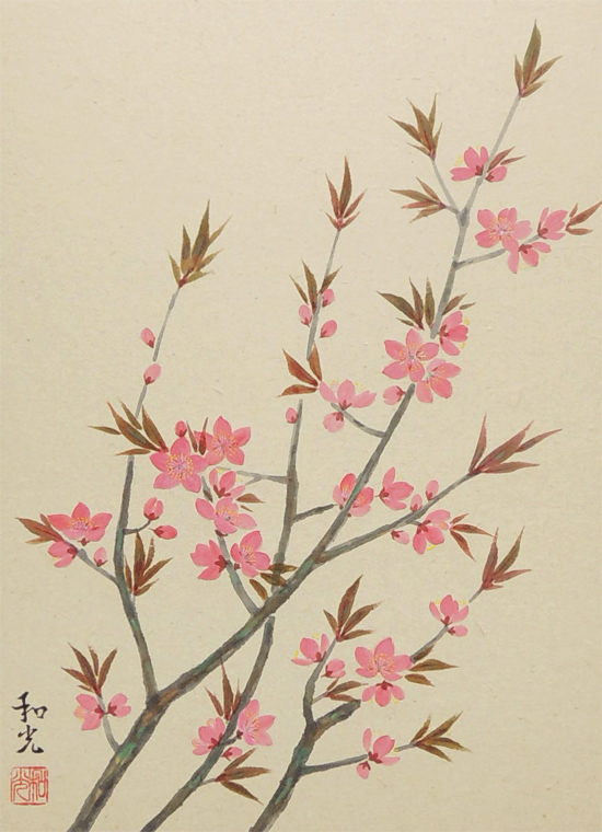 掛け軸 桃の花 （三宅和光） （掛軸小物なし） 送料無料 【掛軸】 商品